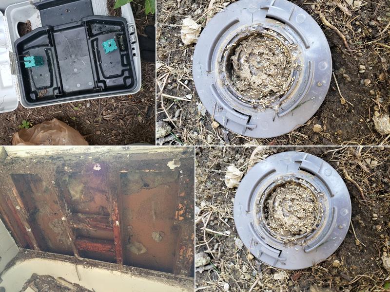 Midwest Termite & Pest Control