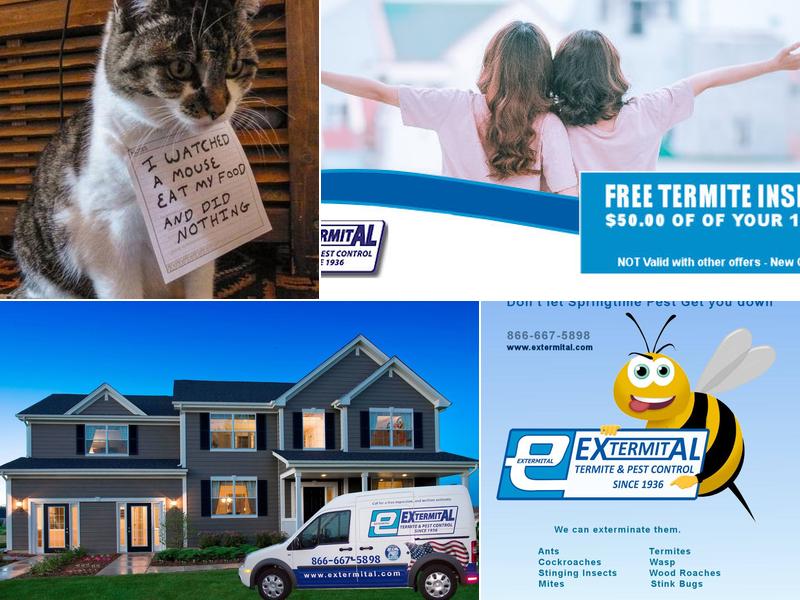 Extermital Termite & Pest Control