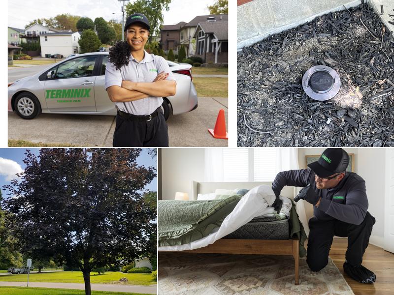 Terminix