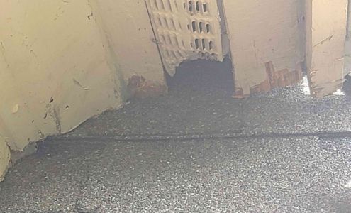 Barnes Wildlife Control