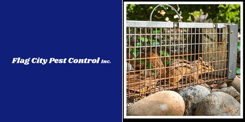Flag City Pest Control Inc