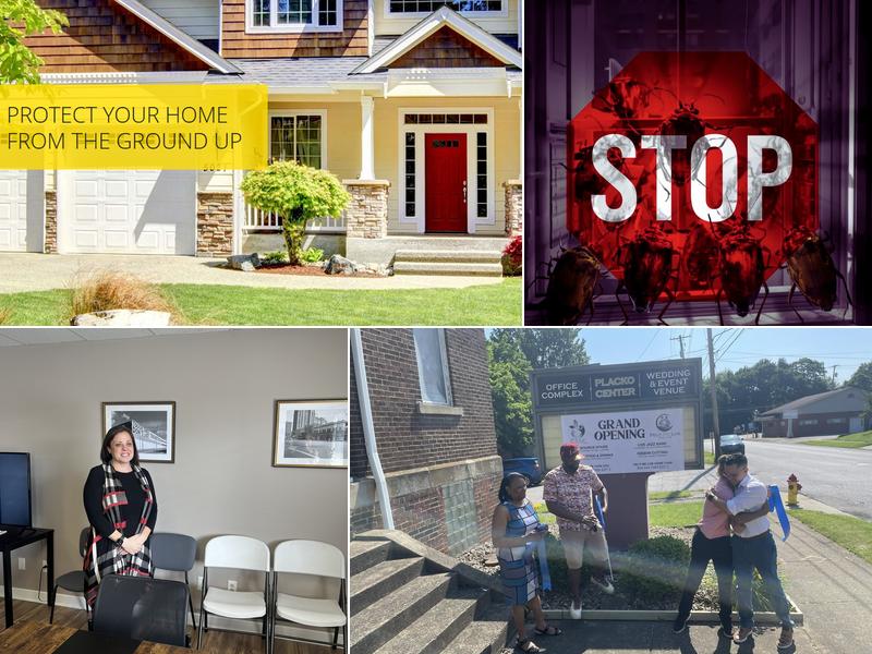 Complete Pest Solutions