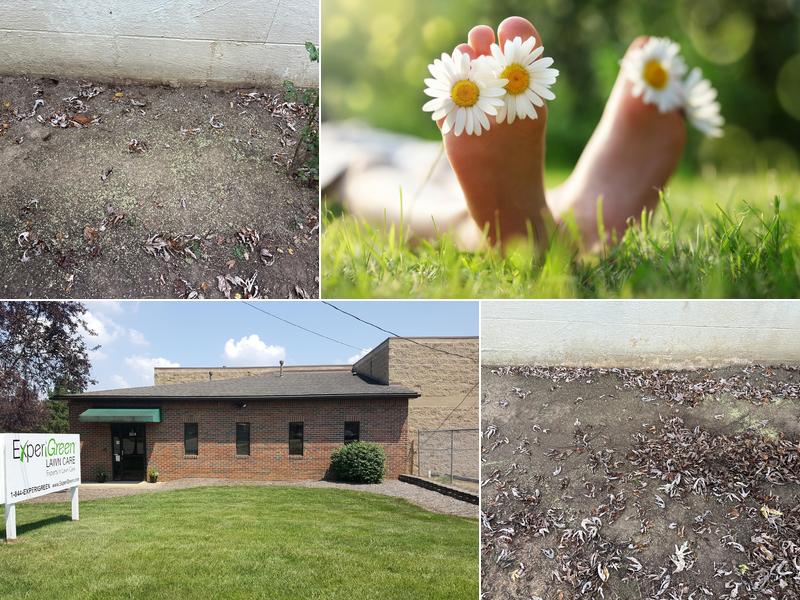 ExperiGreen Lawn Care