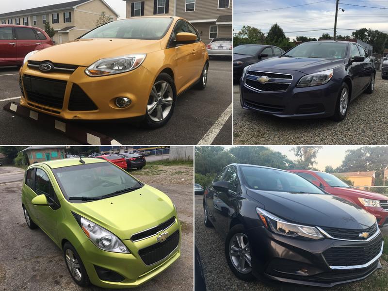 Ace Termite & Pest Control