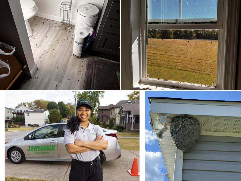 Terminix