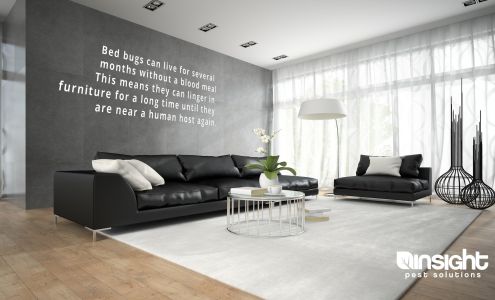 Insight Pest Solutions