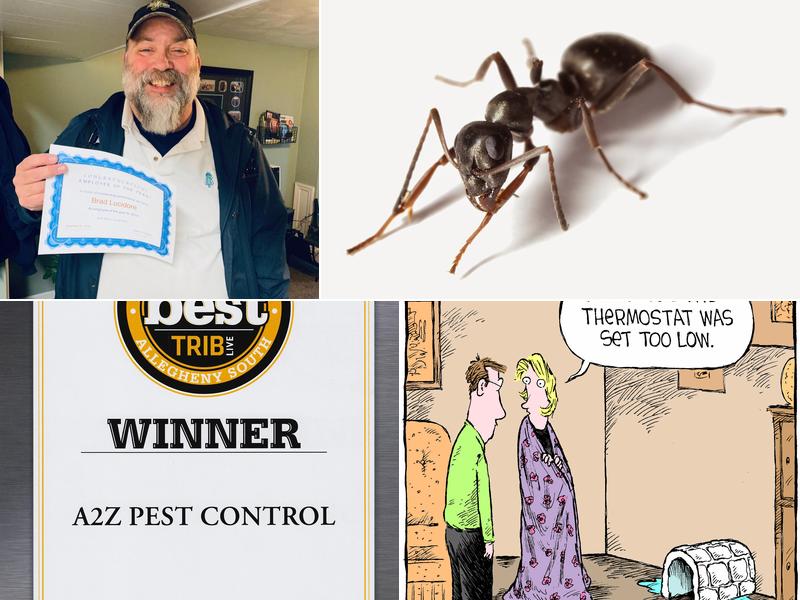 A2Z Pest Control LLC