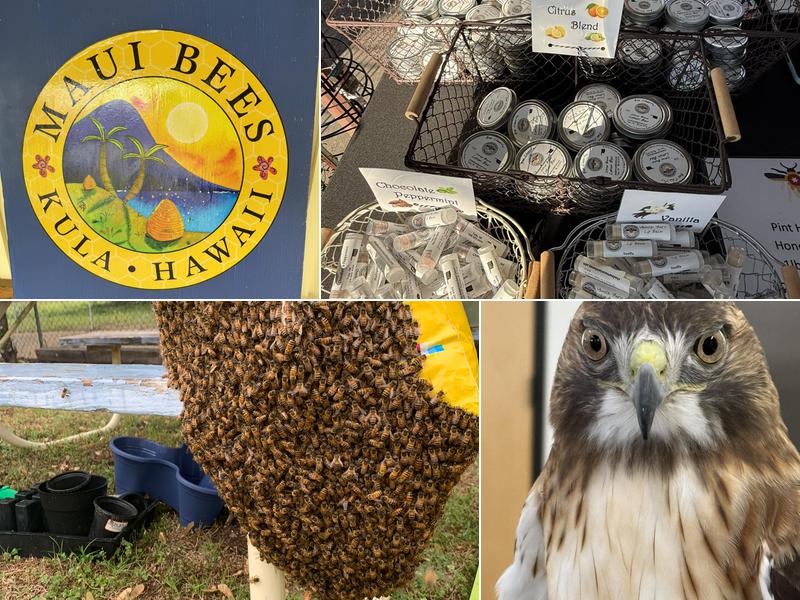 Shadow Mountain Honey Company