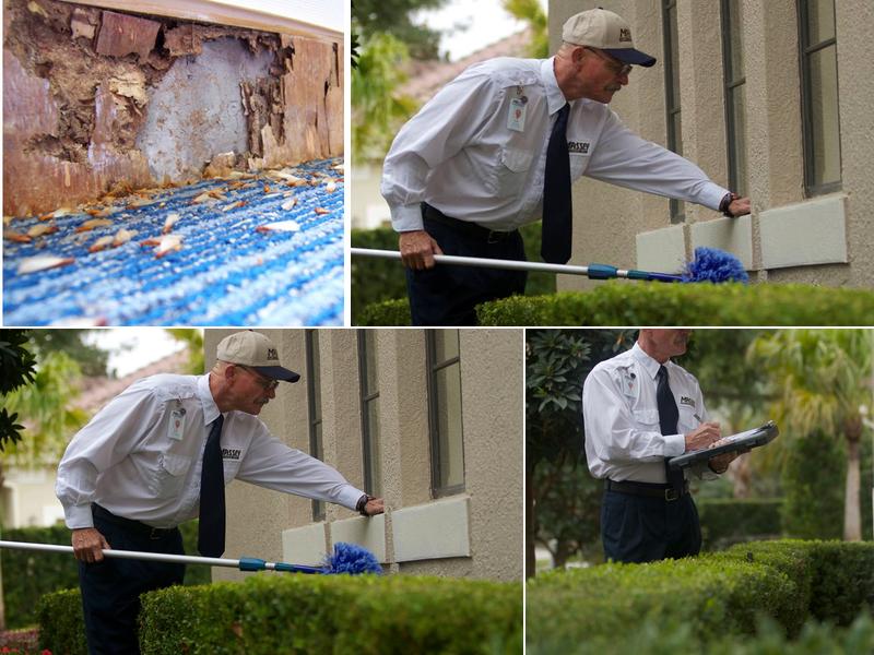 Massey Services Pest Control