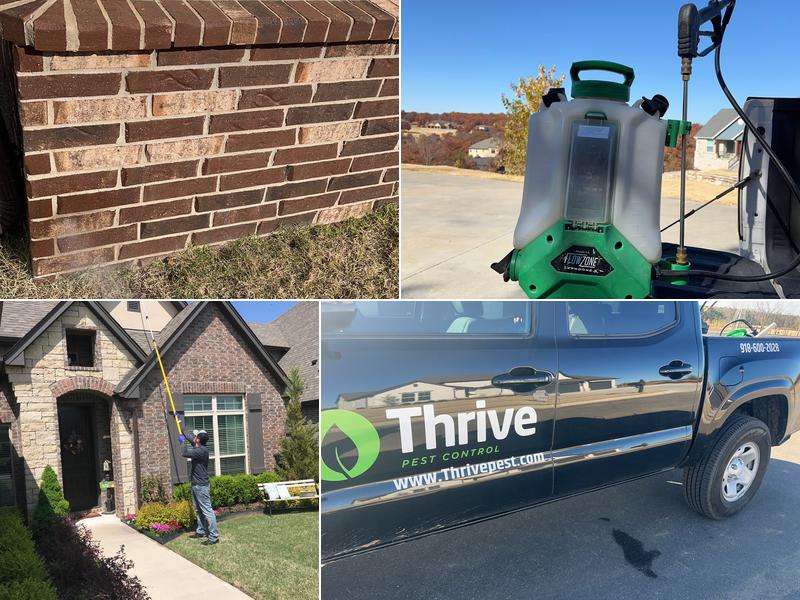 Thrive Pest Control