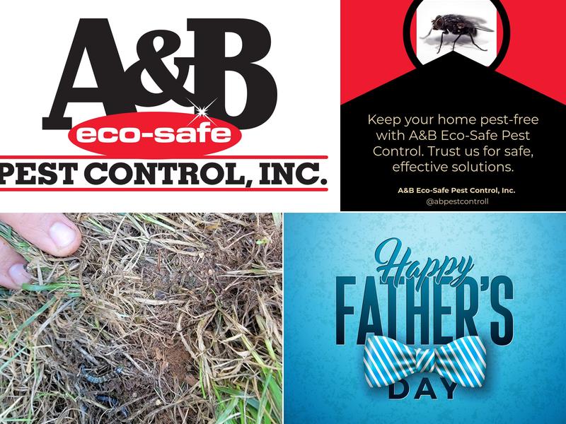 A & B Eco-Safe Pest Control