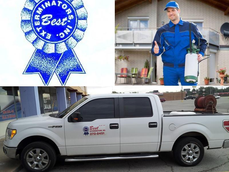 Best Exterminators