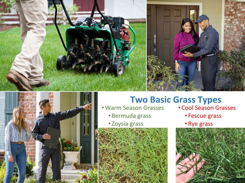 Arrow Exterminators, Inc.