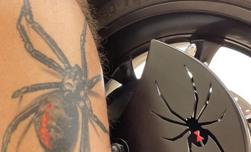 Fitzhugh's Pest Management