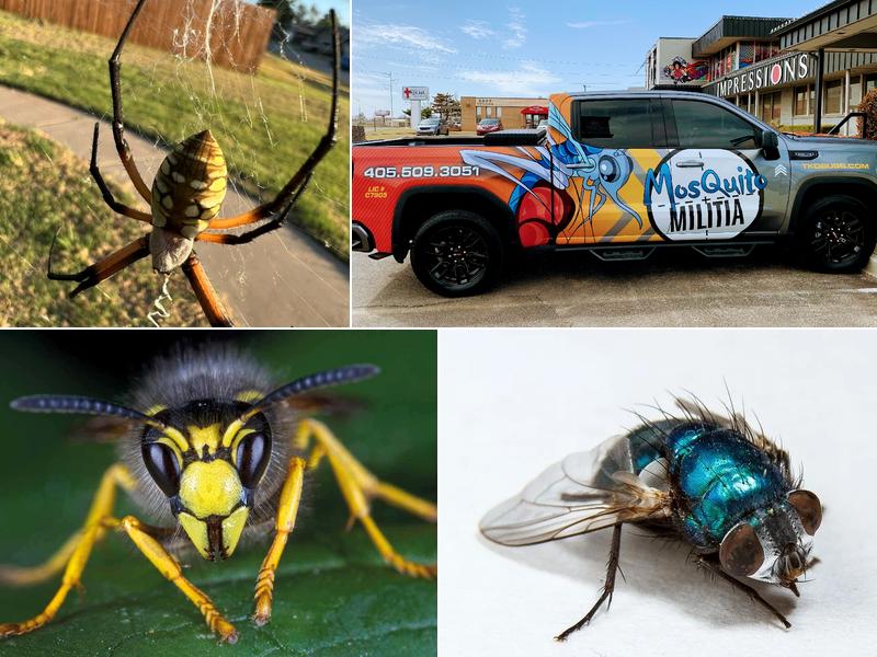 OKC Mosquito Militia Total Pest Control