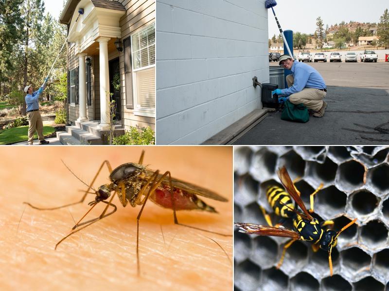 Terminix Central Oregon Pest Control