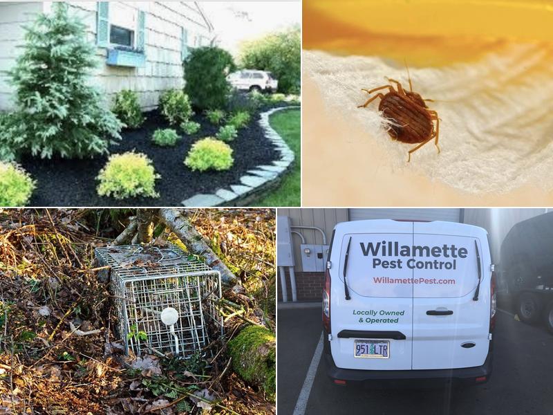 Willamette Pest Control