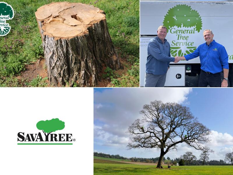 General Tree Service - SavATree
