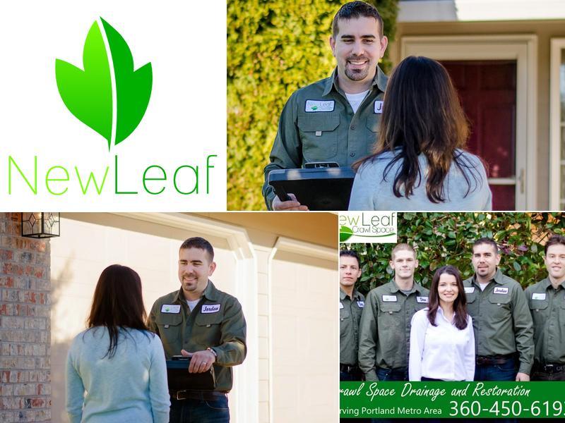 New Leaf Crawl Space Solutions