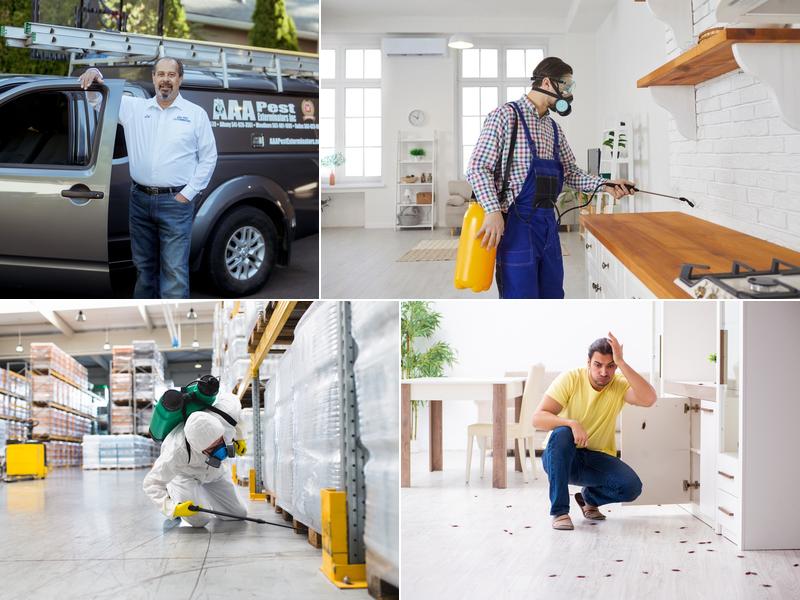 AAA Pest Exterminators