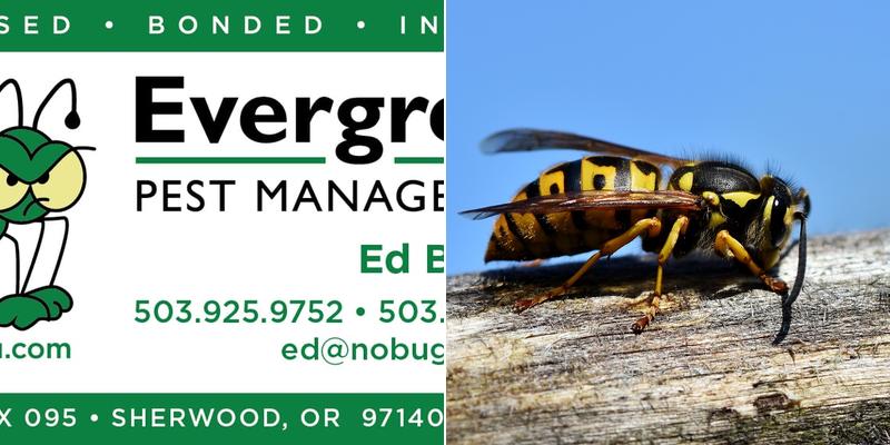 Evergreen Pest Management