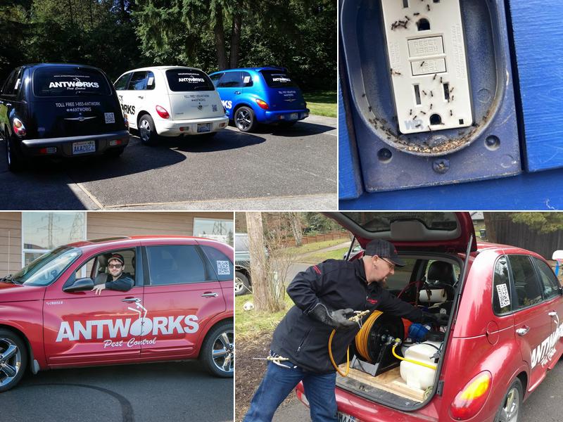 Antworks Pest Control