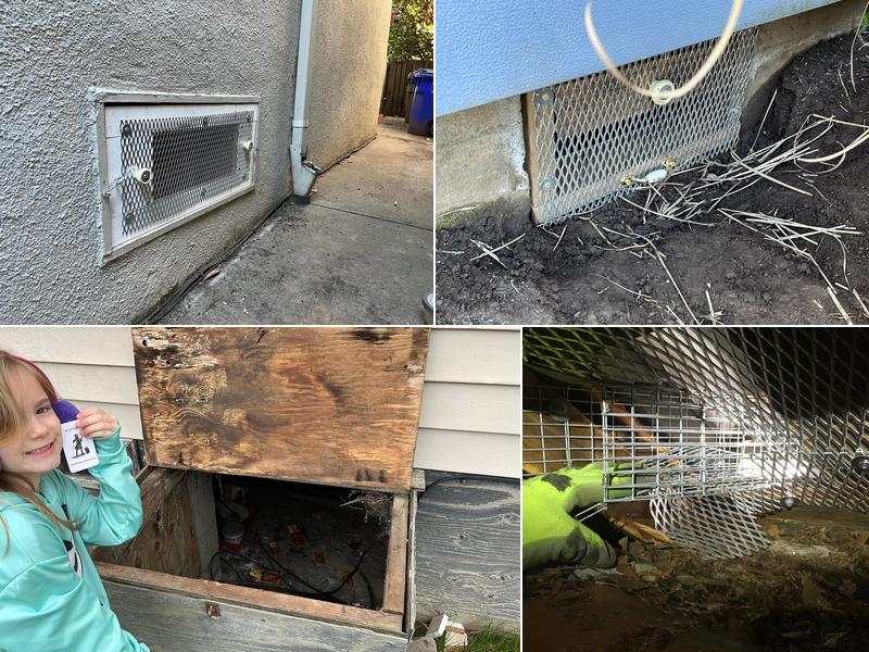 Storysold: Pest Control