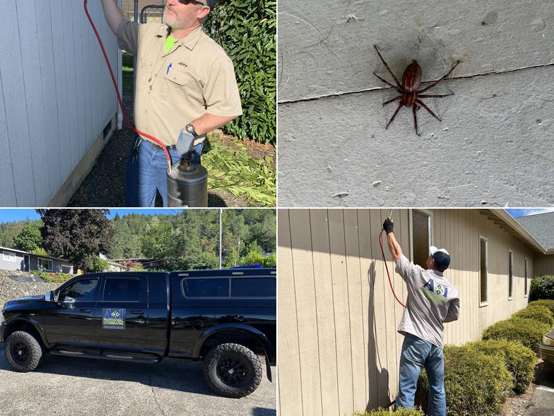 A-1 Professional Exterminating