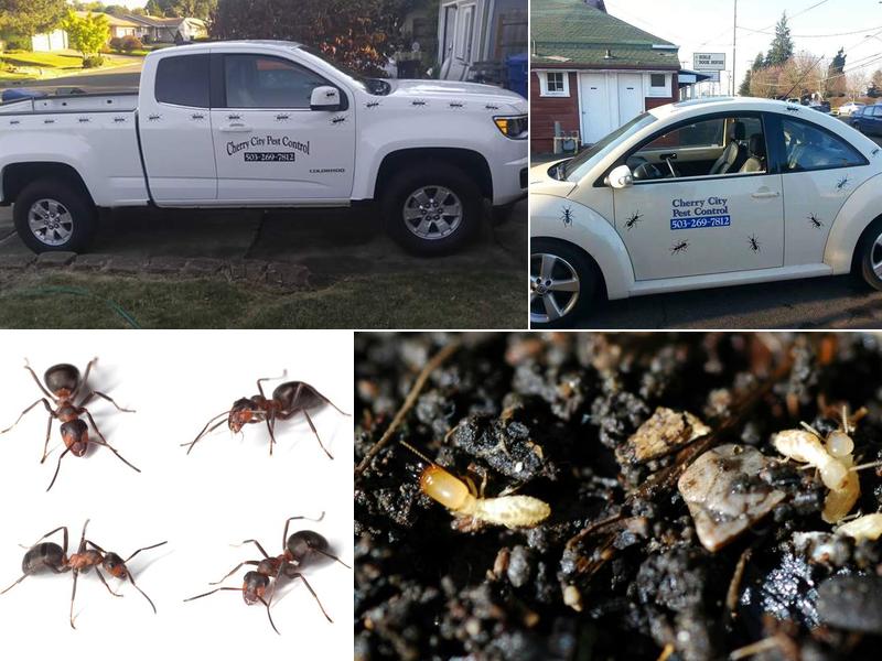Cherry City Pest Control