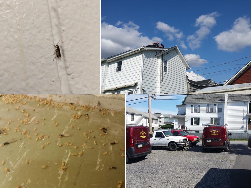 Valley Pest Control Management Inc.