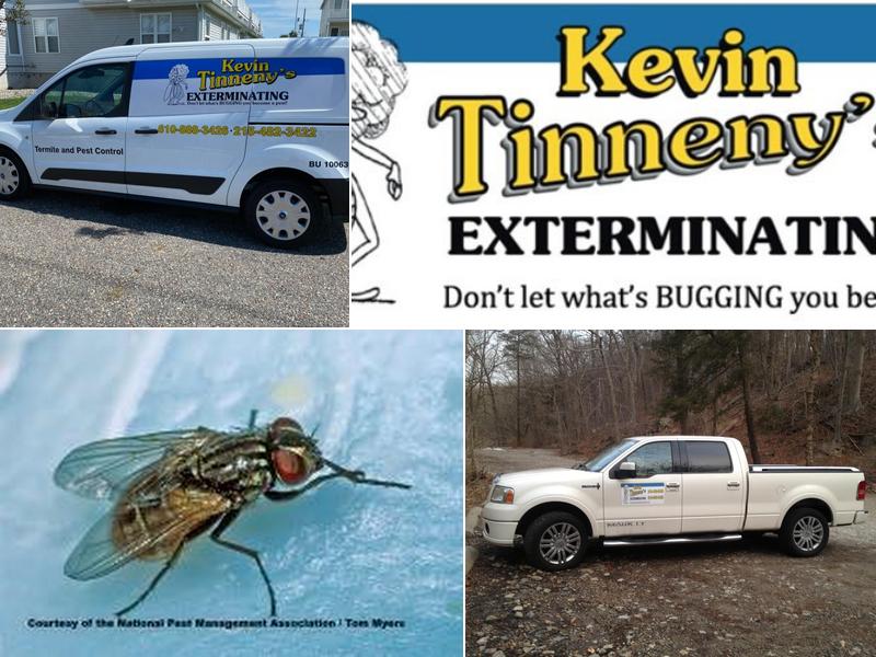 Kevin Tinneny's Exterminating