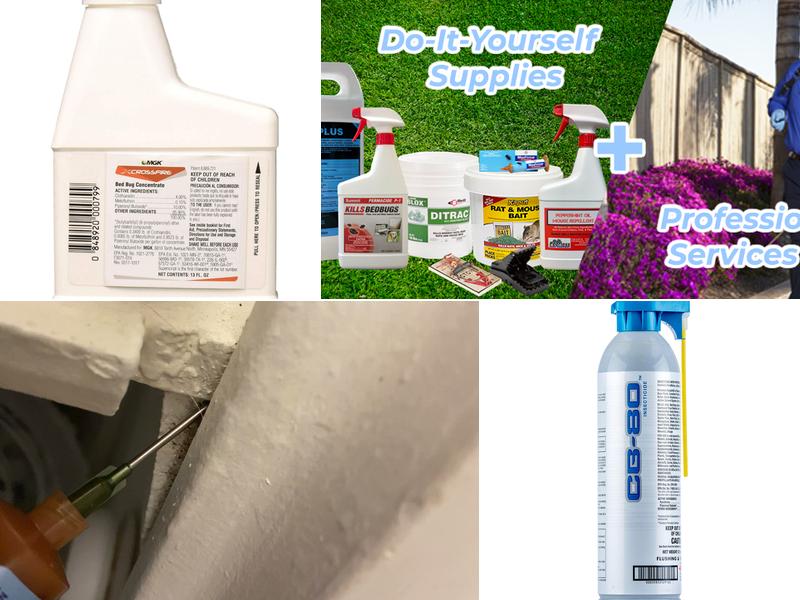 Peerless Pest Control on Market St.