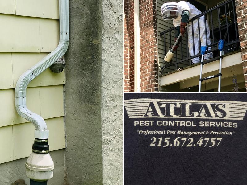 Atlas Pest Control Services