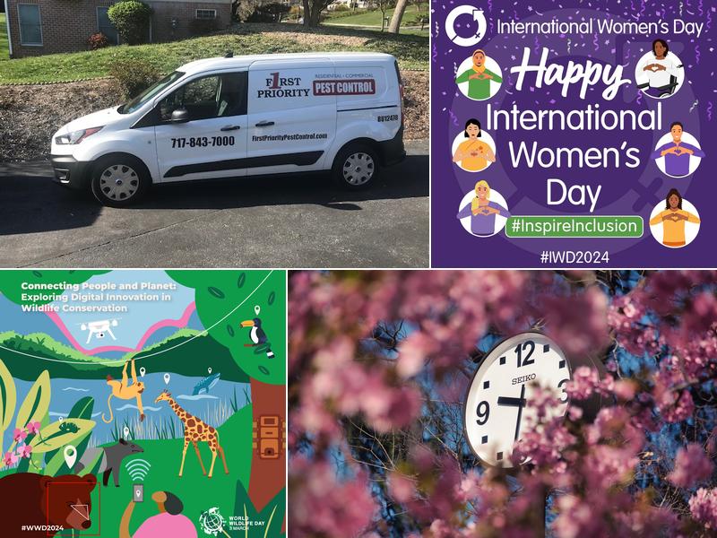 First Priority Pest Control-A Division of Viking Pest