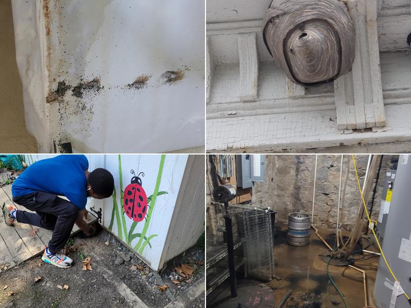 Fowler Pest Solutions