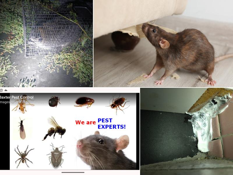 Baxter Pest Control