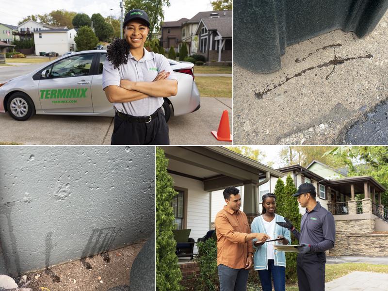 Terminix