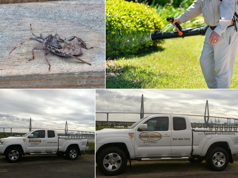 East Cooper Termite & Pest Solutions