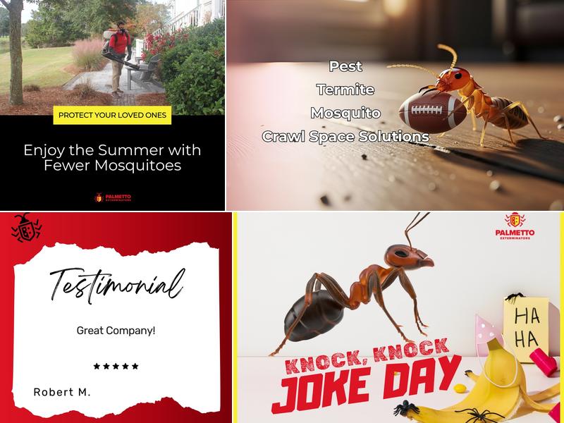 Palmetto Exterminators