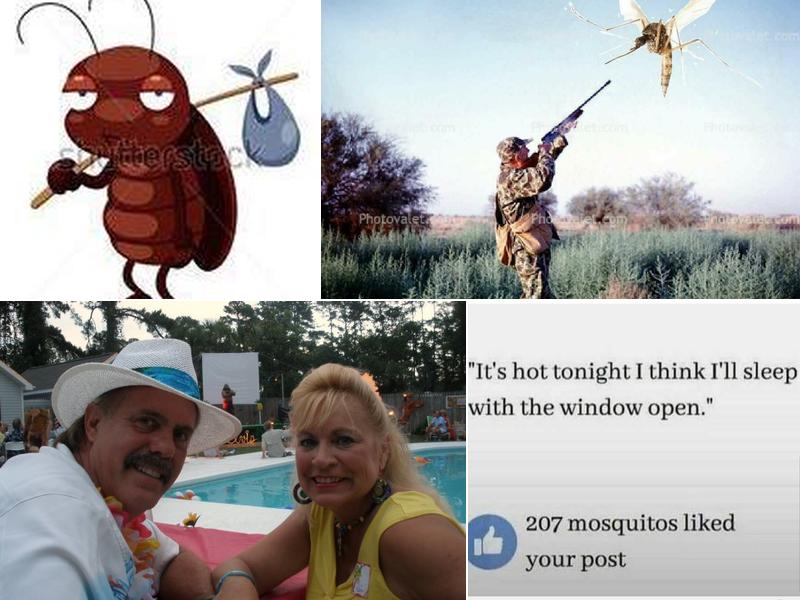 Express 100 & Pest Control Inc