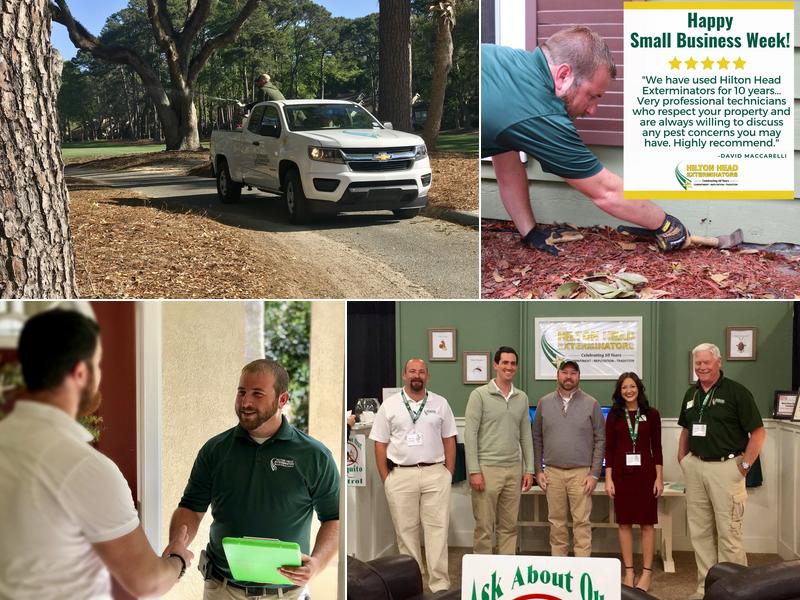 Hilton Head Exterminators