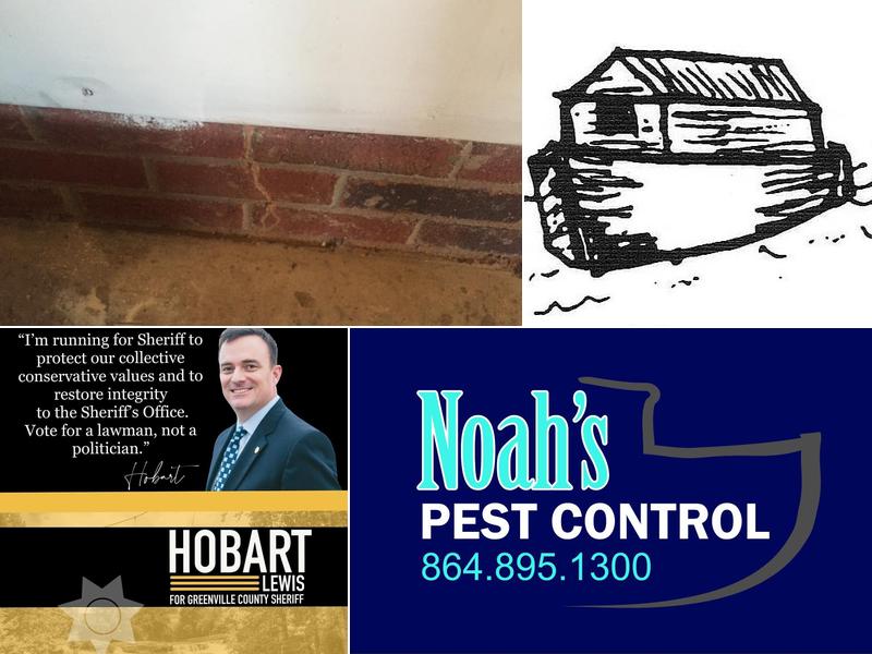 Noah's Pest Control