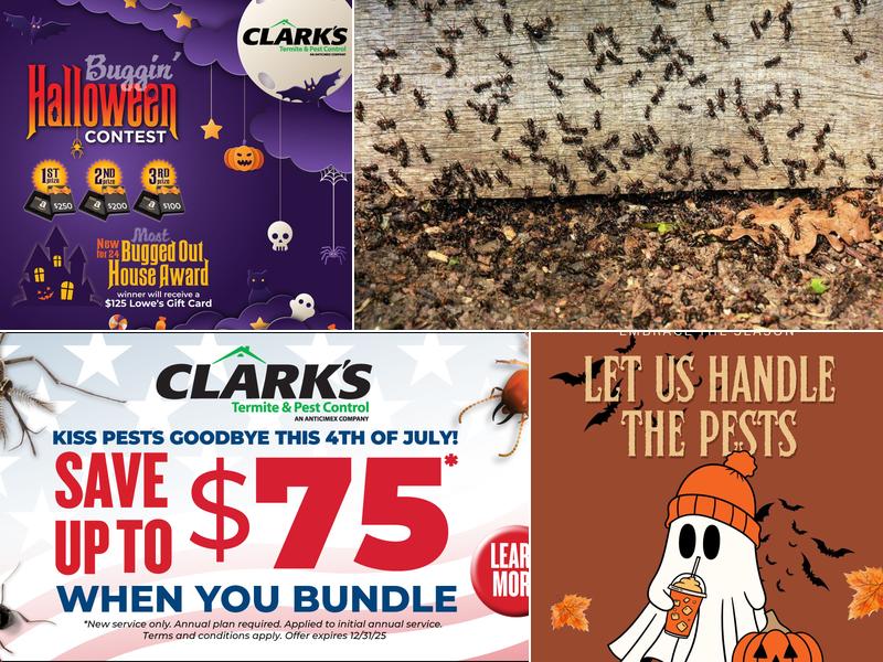 Clark's Termite & Pest Control