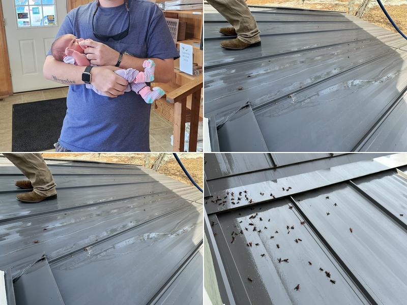 Corder Pest Control Inc