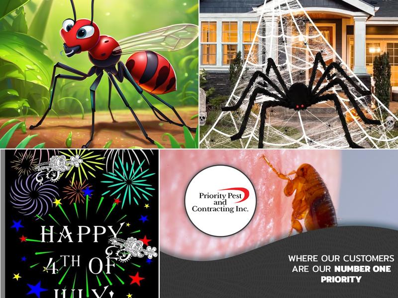 Priority Pest & Contracting, Inc