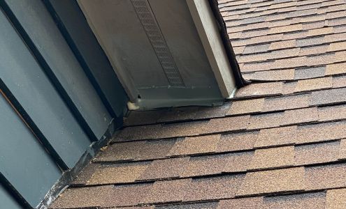 All About Animals NC - Squirrel Removal & Wildlife Removal McConnells