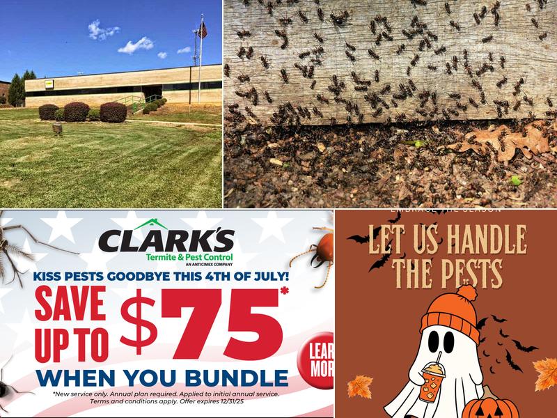 Clark's Termite & Pest Control