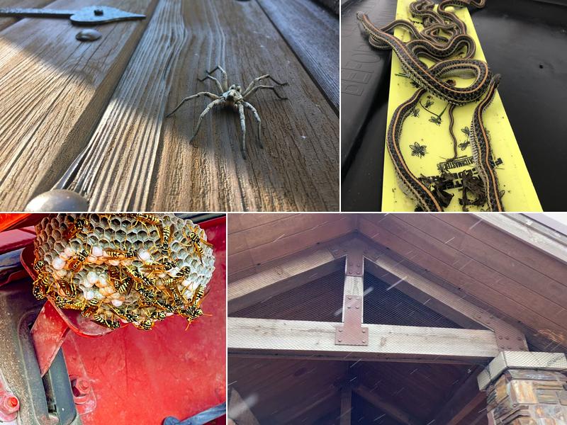 Karma Pest Solutions