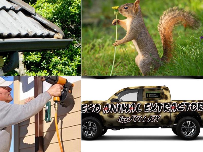 Eco Animal Extractors Inc.