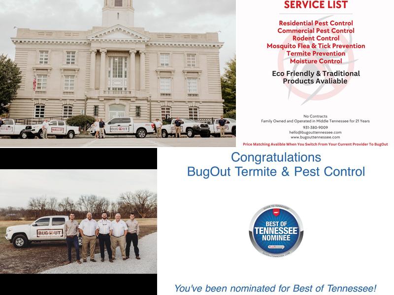 BugOut Termite & Pest Control